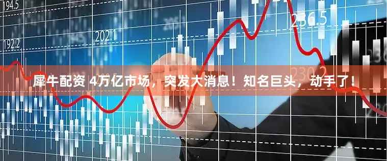 犀牛配资 4万亿市场，突发大消息！知名巨头，动手了！